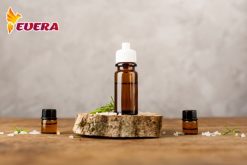 Cung cấp chai tinh dầu 10ml - Evera: Sự lựa chọn hàng đầu cho bạn