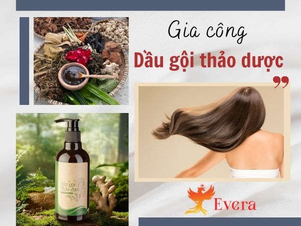 Gia công dầu gội thảo dược - Bắt nhịp xu hướng làm đẹp xanh